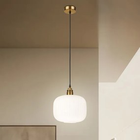 Lampadario a sospensione su cavo HECTOR 1xE27/15W/230V Ø 25 cm