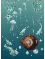 Edmond Petit Carta da parati Nautilus/ Méduses/ Nénuphars - Turquoise - Nautilus droit - Turquoise
