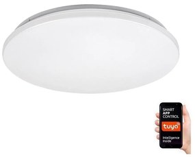 Rabalux 71035 - Plafoniera LED RGB dimmerabile CERRIGEN LED/24W/230V