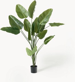 Pianta artificiale Traveller Palm