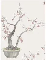 Cole & Son Tapete Kaki Persimmon - Silver
