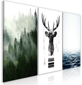 Quadro Chilly Nature (Collection)