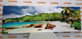 Stampa su tela – Seychelles tropicali