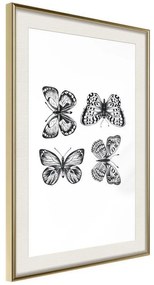 Poster  Butterfly Collection III  Cornice Quadri Cornice d'oro con passe-partout, Larghezza x Altezza Home decor 20x30