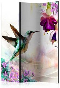 Paravento separè Colibrì e Fiori - uccello e piante estive su sfondo multicolore