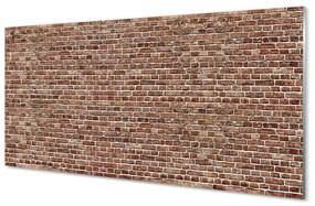 Quadro acrilico Muro di mattoni 100x50 cm