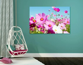 Quadro su tela – Prato di fiori primaverili