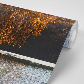Carta da parati – Riflesso delle foglie nel lago