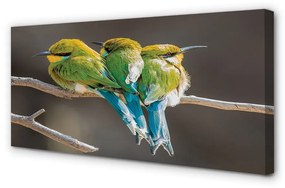 Quadro su tela Uccelli sul ramo 100x50 cm