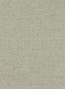 Clarke & Clarke Carta da parati Dalton - Stone