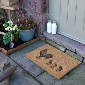 Zerbino in fibre di cocco 40x60 cm Chickens and Chicks – Artsy Doormats