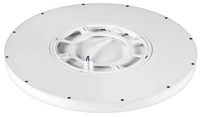 Top Lampada - Plafoniera LED dimmerabile LED/50W/230V 3000-6500K + +TC