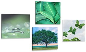 Set di quadri – Natura piena di verde