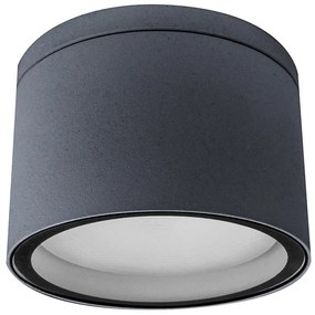 Palnas 66003498 - Plafoniera da esterno ARON 1xGX53/15W/230V IP54