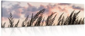 Quadro su tela – Spighe di erba lunga