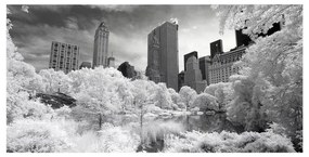 Stampa su tela New York con la neve b&w, multicolore 140 x 70 cm