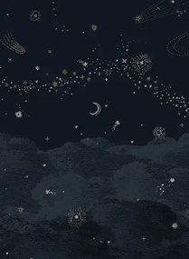 Isidore Leroy Carta da parati panoramica Cosmos Nuit - Nuit - Bahnen 1/2/3