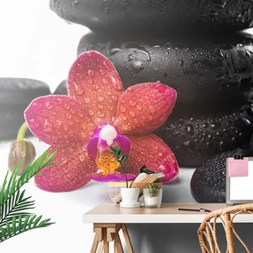 Carta da parati – Orchidea e pietre Zen su sfondo bianco
