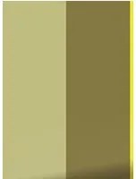 KEK Amsterdam Carta da parati Bold Stripes 1 Uyterlinde - FU-007