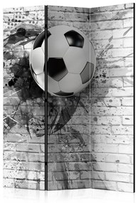 Paravento  Dynamic Football [Room Dividers]  Colore bianco e nero, Dimensioni e Misure 135x172