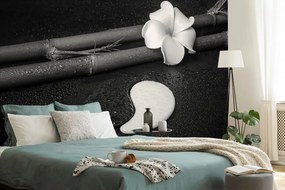 Carta da parati – Natura morta in bianco e nero con Yin e Yang