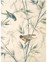Little Greene Carta da parati Great Ormond Street - Parchment