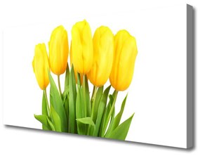 Foto quadro su tela Tulipani, fiori, piante 100x50 cm