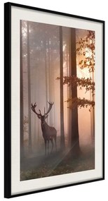 Poster  Forest Seclusion  Cornice Quadri Cornice nera con pass-partout, Larghezza x Altezza Home decor 20x30