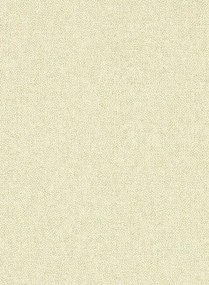 Sanderson Tapete Sessile Plain - Birch/ Multi