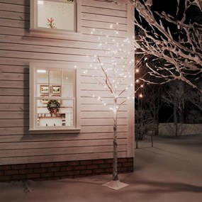 Betulla Con Led Bianco Caldo 128 Led 220 Cm /