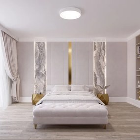 Brilagi - Plafoniera LED RGBW dimmerabile CLARE 2xE27/9W/230V Wi-Fi bianca