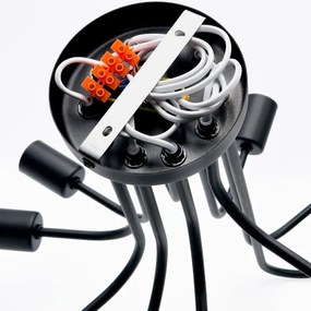 Lampadario a plafone TRINITY 10xE27/15W/230V nero