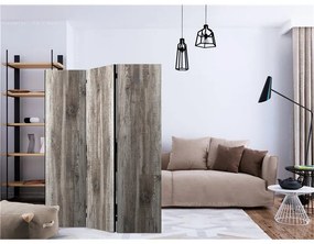 Paravento Stylish Wood [Room Dividers]