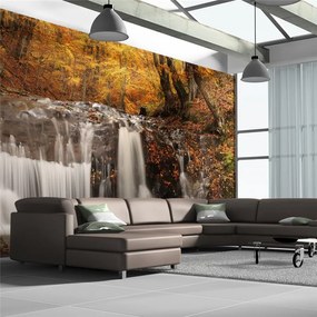 Fotomurale XXL  Autumn landscape: waterfall in forest  Colore Marrone, Dimensioni e Misure 550x270