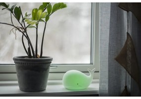 Luce notturna bianca a LED per bambini Whale – Star Trading