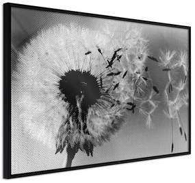 Poster  Dandelion in the Wind  Cornice Quadri Cornice nera, Larghezza x Altezza Home decor 60x40