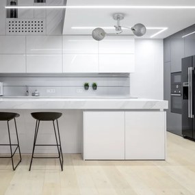 Lampadario a plafone OAKLAND 2xE27/60W/230V