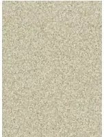 Zoffany Carta da parati Mosaic - Silver
