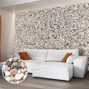 Fotomurale  Stone Charm  Colore Beige, Dimensioni e Misure 350x245