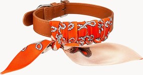 Collare per cani in pelle di mela Twilly