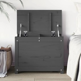 Contenitore Portaoggetti Grigio 60x32x45,5cm Massello Di Pino /
