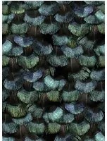 Rebel Walls Carta da parati Petite Peacock Plumage - Opal