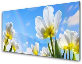 Quadro acrilico Piante, fiori, tulipani 100x50 cm