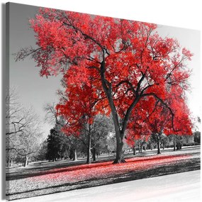 Quadro Autumn in the Park (1 Part) Wide Red