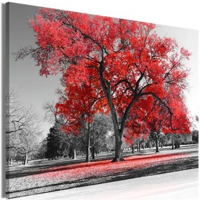 Quadro Autumn in the Park (1 Part) Wide Red  Colore Rosso, Dimensioni e Misure 90x60