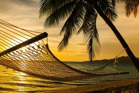 Carta da parati – Amaca sulla spiaggia