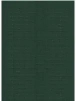 Arte International Carta da parati Line - Grey Forest