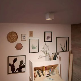 Philips 50491/31/P0-Faretto LED dimmerabile MYLIVING BOX 1xLED/4,5W/230V