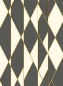 Cole & Son Carta da parati Oblique - Black/ White