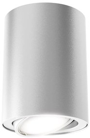 Briloner 7119-014 - Luce Spot a LED TUBE 1xGU10/5W/230V tondo